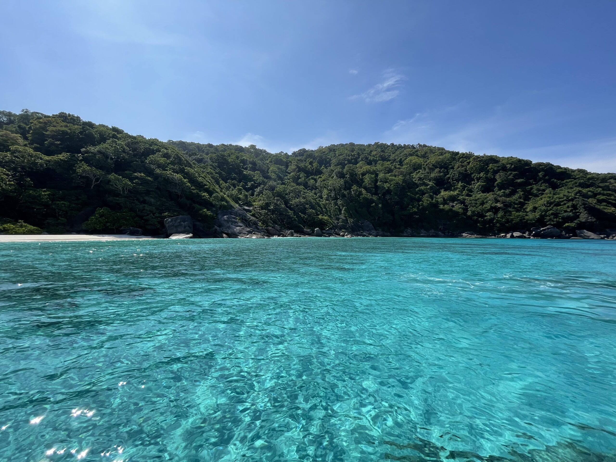 Federico Brandi Thailandia