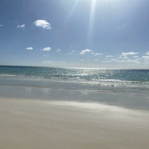 Luca Starace Freeport Gran Bahama (5)