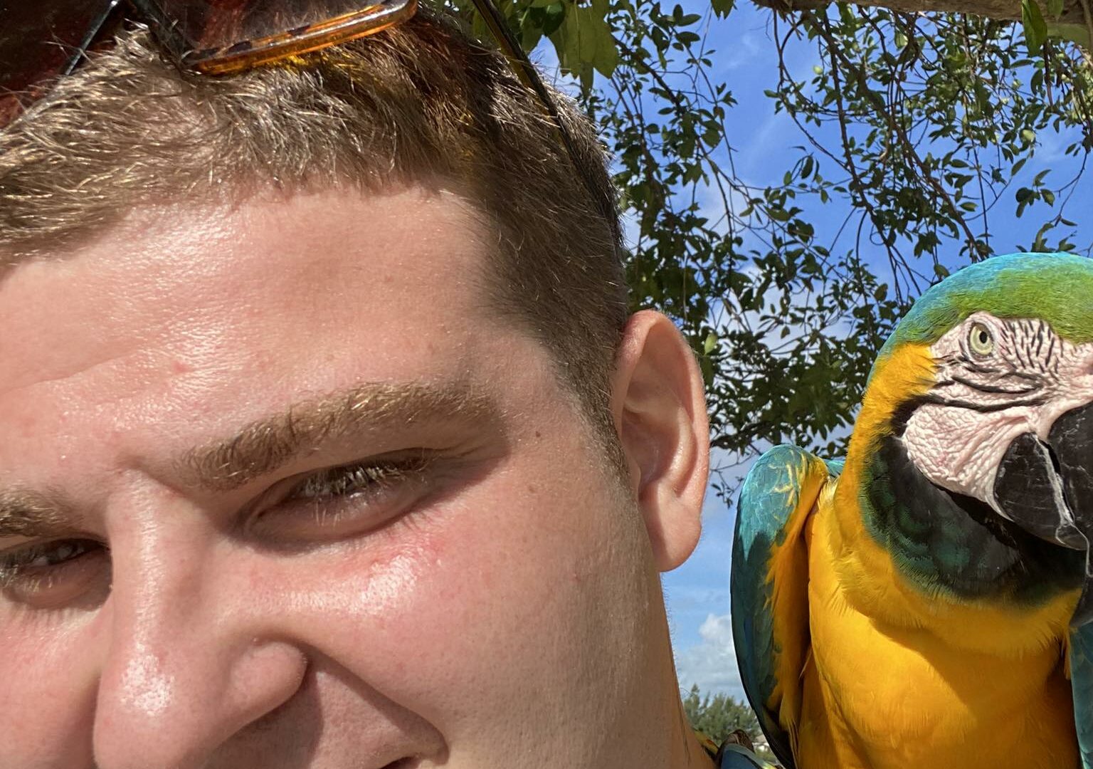 Luca Starace Freeport Gran Bahama