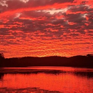 Nicola Memeo Cairns 2