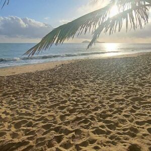 Nicola Memeo Cairns 7