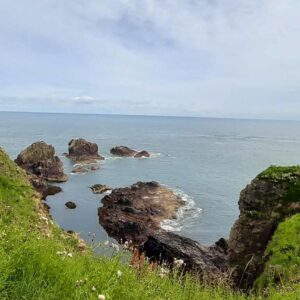 Vito e Nadia Scozia (7)