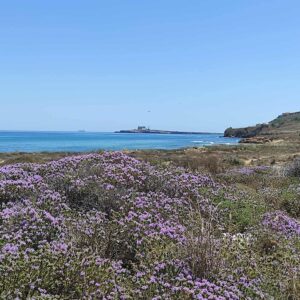 Maria Luisa Bruschetini 13