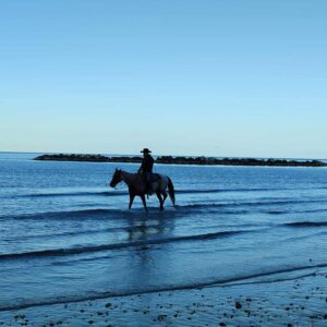 Maria Luisa Bruschetini 3