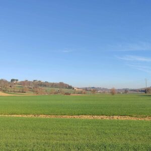 Maria Luisa Bruschetini 9