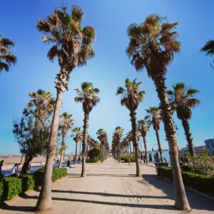 Noemi Neri Valencia (2)