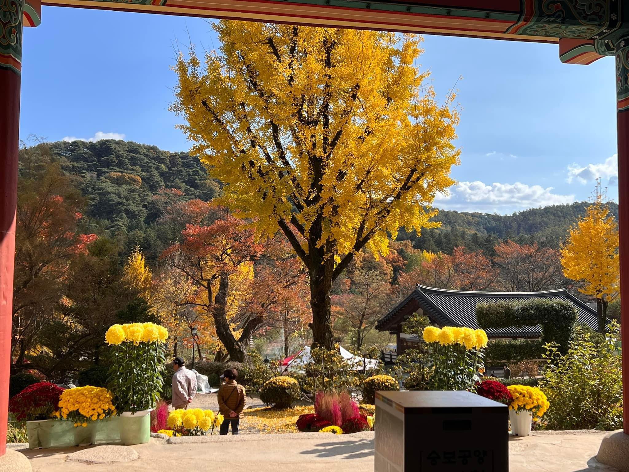 Vivien Gasparrini Corea del Sud