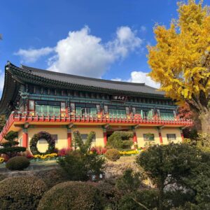 Vivien Gasparrini Corea del Sud 5