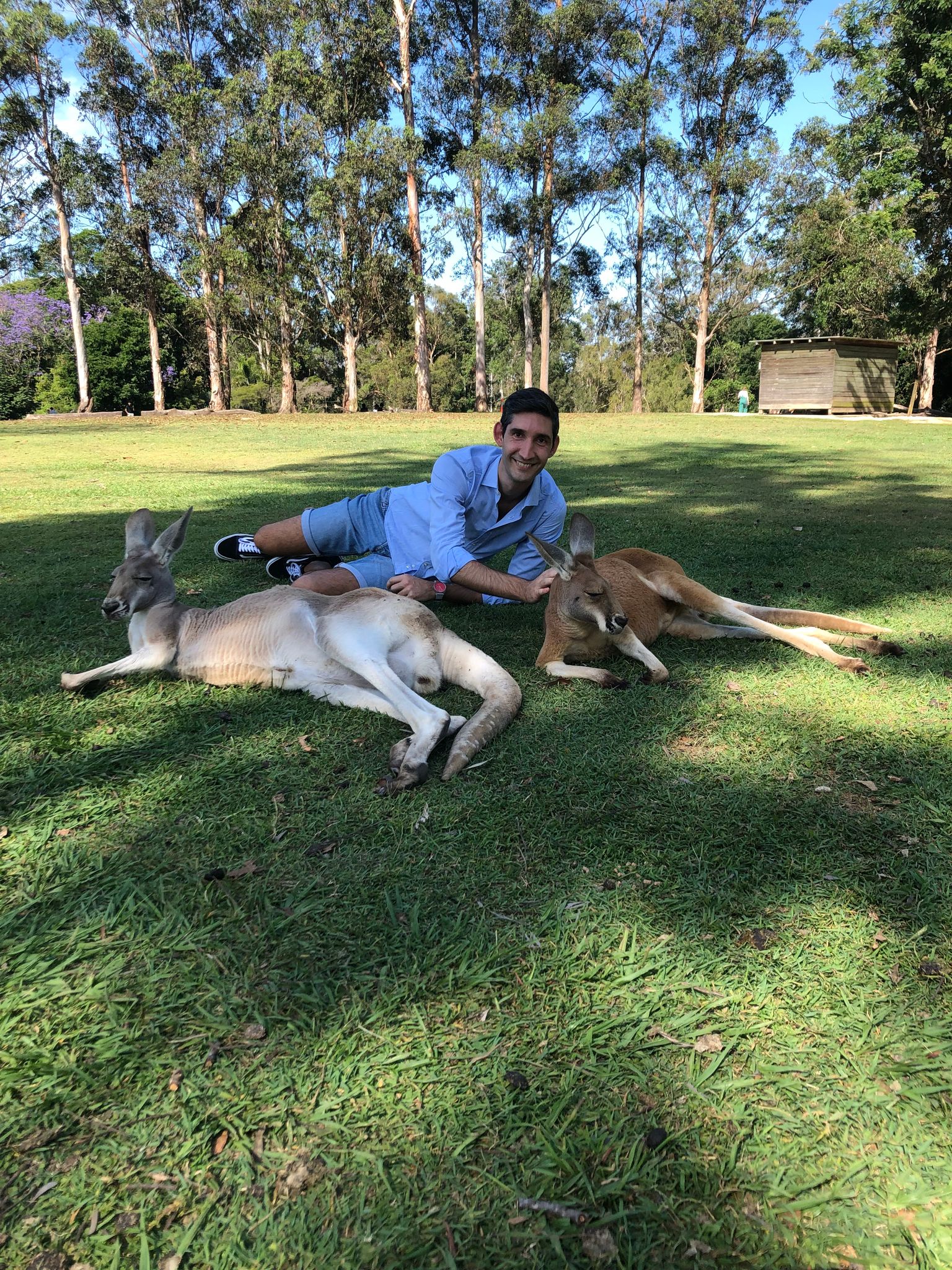 Alberto Palamà Brisbane
