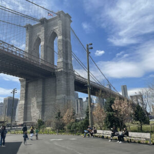 Elena Bellavitis New York 8