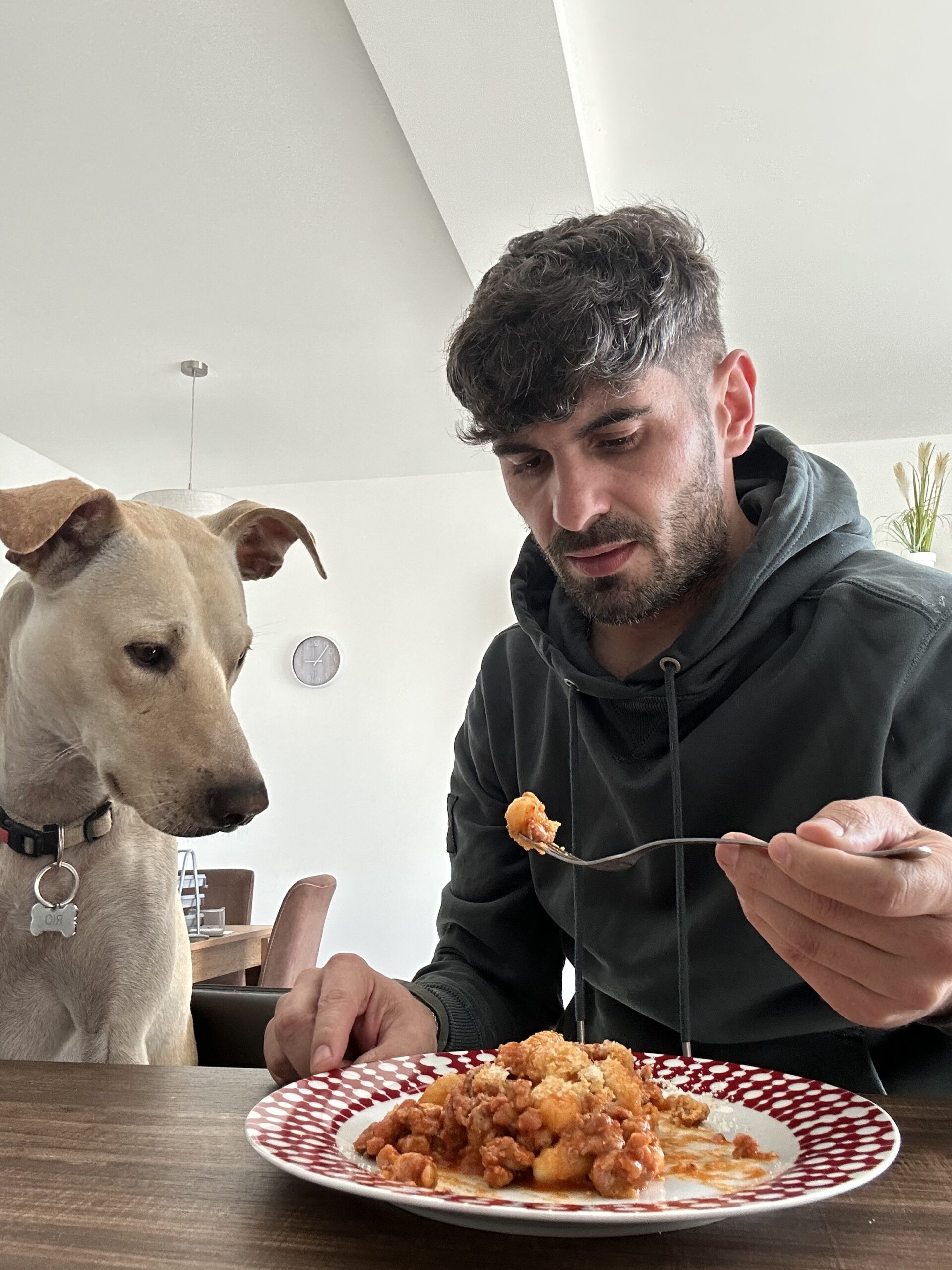 Tommaso Alfonso Malta