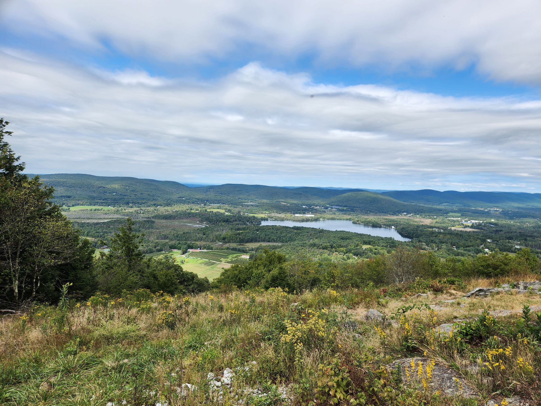 monica-viglianco-boston