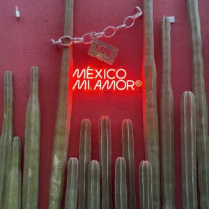 Sara Fadini Messico 4