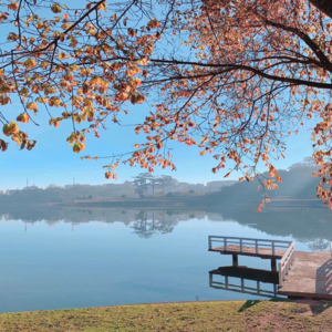 Sergio Balacco Ho Chi Minh City 9