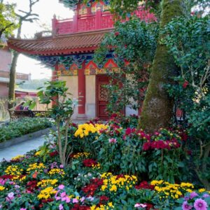 Silvia Bolzani Hong Kong 10