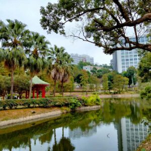 Silvia Bolzani Hong Kong 5