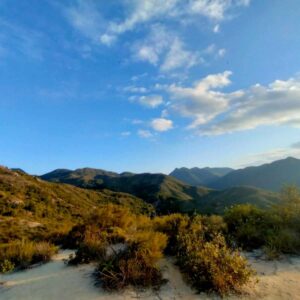 Silvia Bolzani Hong Kong 8