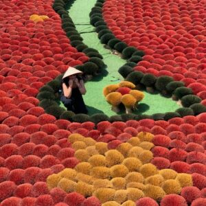 Manuela Spiga Vietnam 12