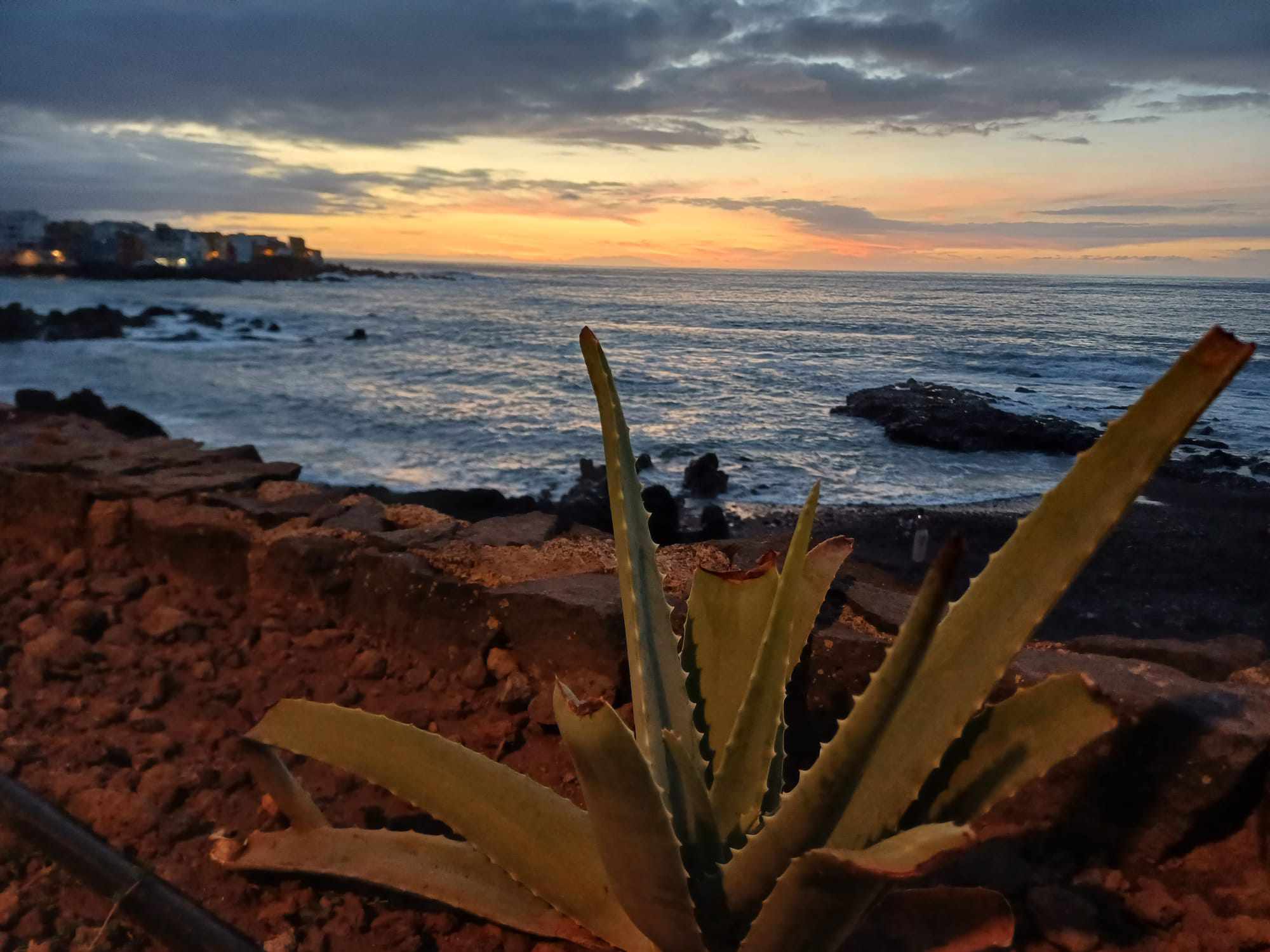 Mary Coverano Tenerife