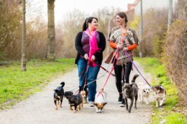 Viaggiare gratis come Pet Sitter o House Sitter