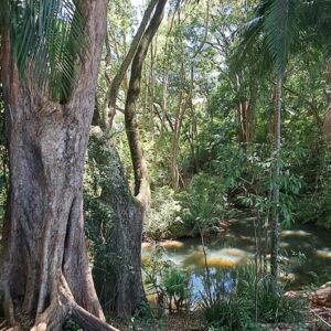 Lucia Stacchiotti Sydney 2