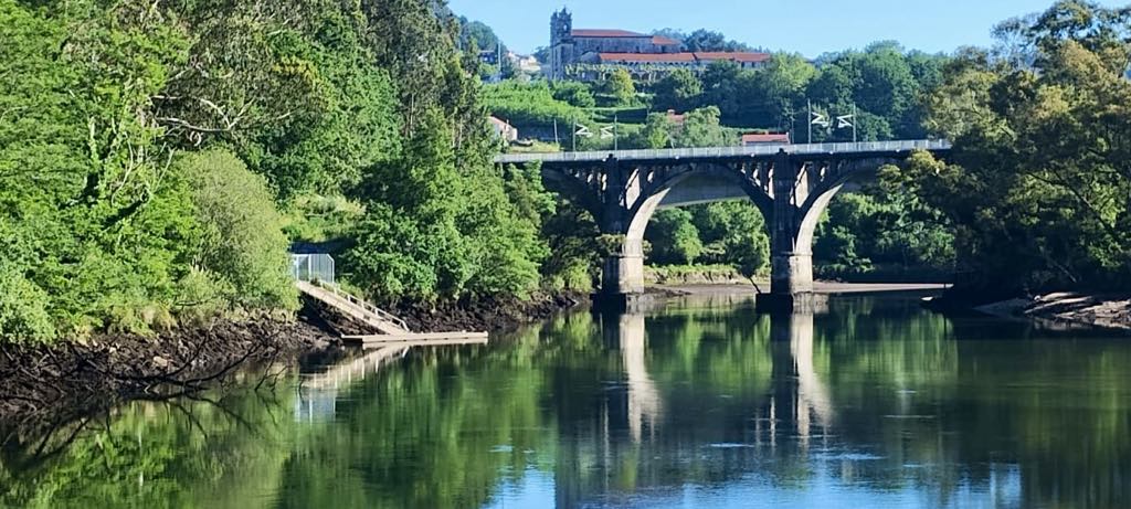 Alessandra Migliarino 