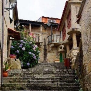 Alessandra Migliarino Galizia 4