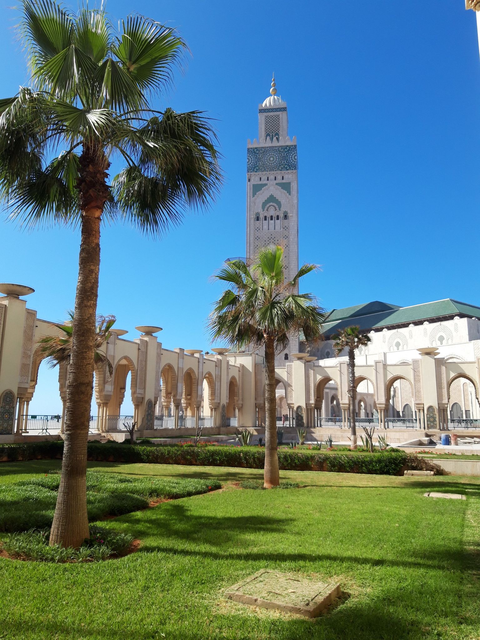 Elisa Rovito Marocco