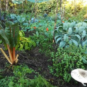 Enrico Sestu Viana Do Castelo Portogallo 3