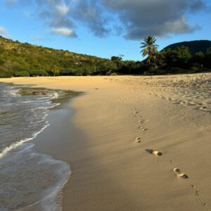 Andrea Airò Antille 9