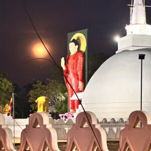 Anna Godi Sri Lanka (7)