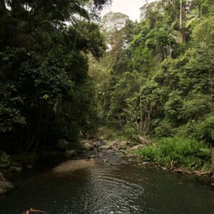 Luca Cubeddu Australia 4