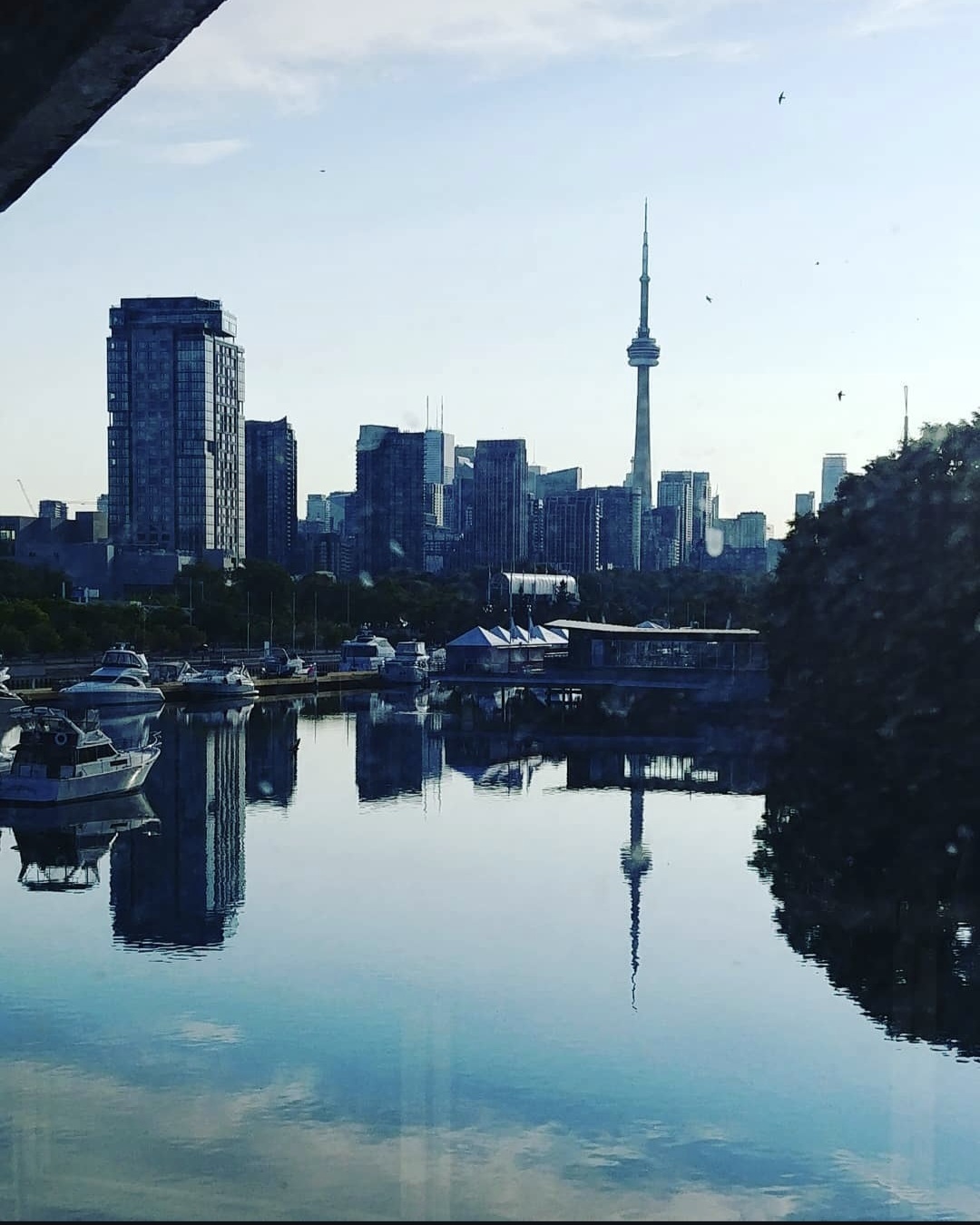 Vittoria Domenichelli 