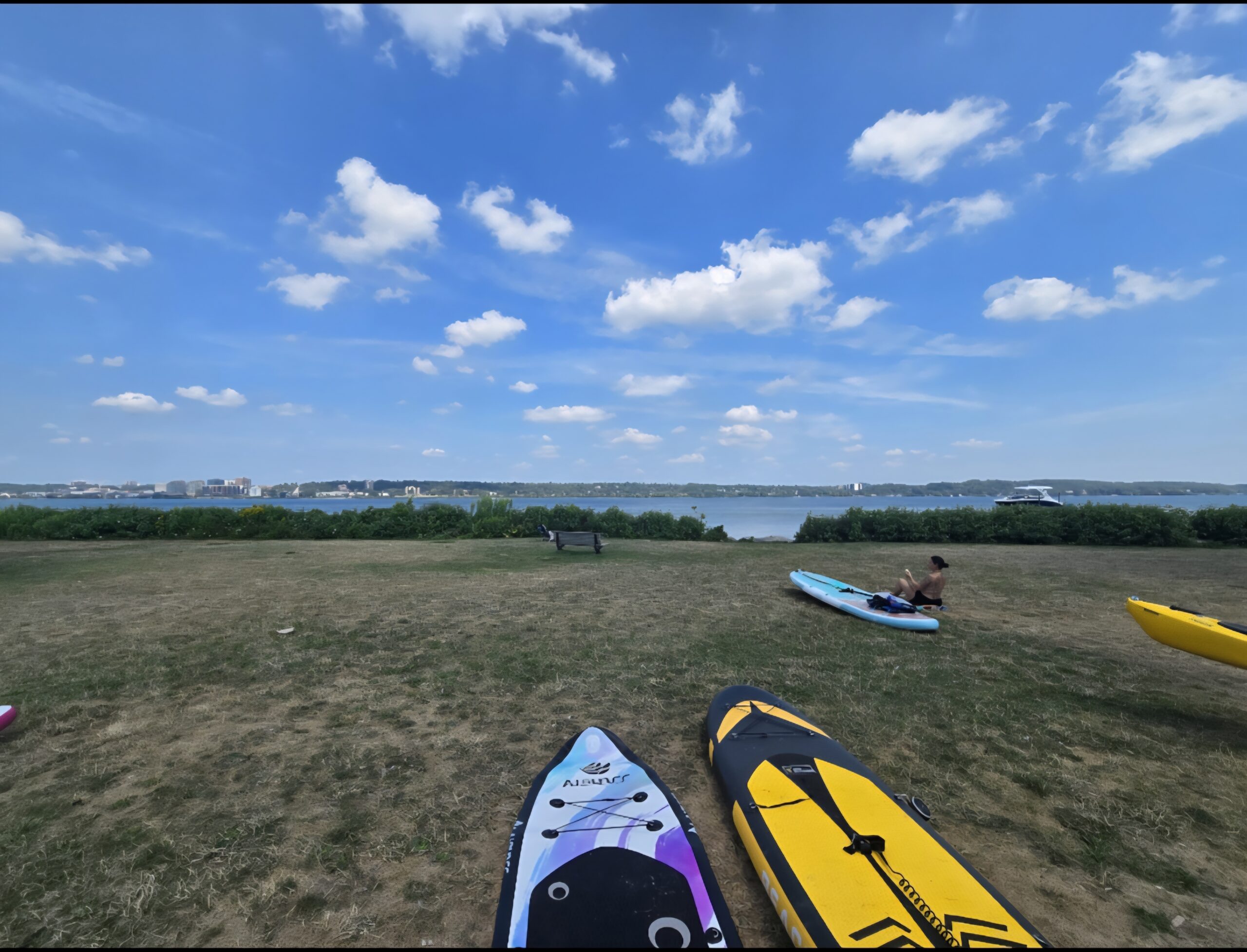 Vittoria Domenichelli 