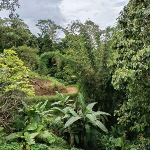 Alberto e Daniela Ecuador (6)