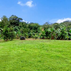 Alberto e Daniela Ecuador (8)