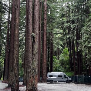 Elena Dalla Benetta San Diego 8