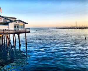 Nicole Francini San Diego (1)