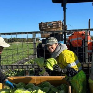 Stella Corona Australia 5