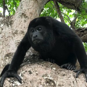 Michela Boschi Costa Rica 2