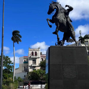 Nicolas D’Amato Cuba 3