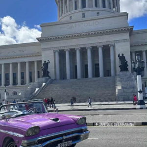 Nicolas D’Amato Cuba 4