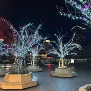 Clara Monni Giappone 5