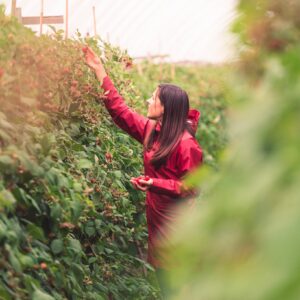 Ludovica Ibba Danimarca 3