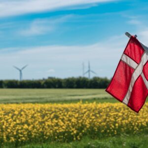 Ludovica Ibba Danimarca 5