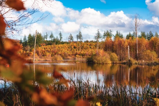 Ludovica Ibba Danimarca