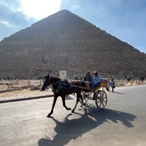 Marcello Spaccia Egitto 7