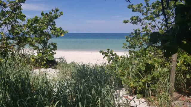 Stefano Paternuosto Florida