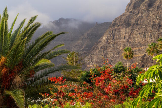 Tenerife