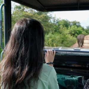 sri-lanka-safari-quando-andare